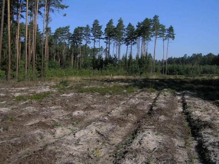 urządzanie&#x2e;jpg