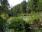 Zasady korzystania z lasów i infrastruktury turystycznej na terenie Nadleśnictwa Legnica