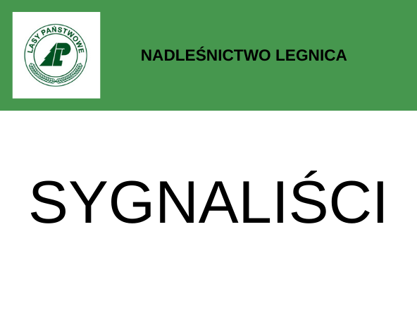 Sygnaliści