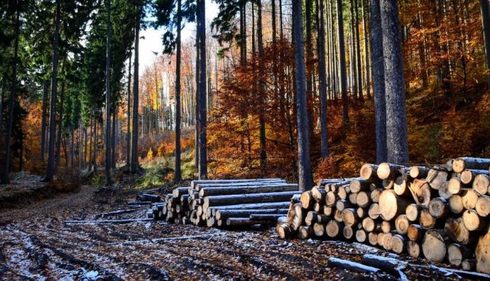 Foto: Malwina Sokołowska